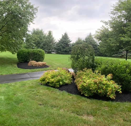 Professional Landscape Installation Services Chester County, Glenmoore, Exton, Downingtown. Offering Lawn Care & Landscape Services for Chester County, Eagleview and Exton Pennsylvania