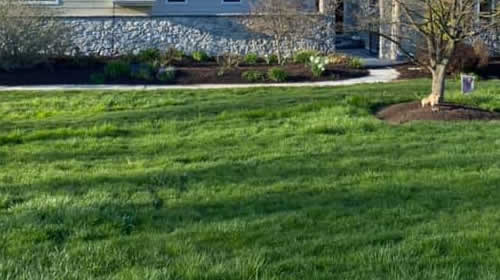 CMG Lawn Fertilization Services PA