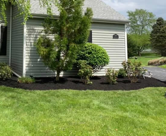 Expert Lawn Fertilization Services Pennsylvania