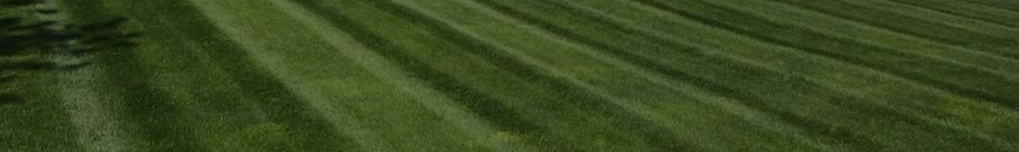 Lawn Fertilization Services Downingtown