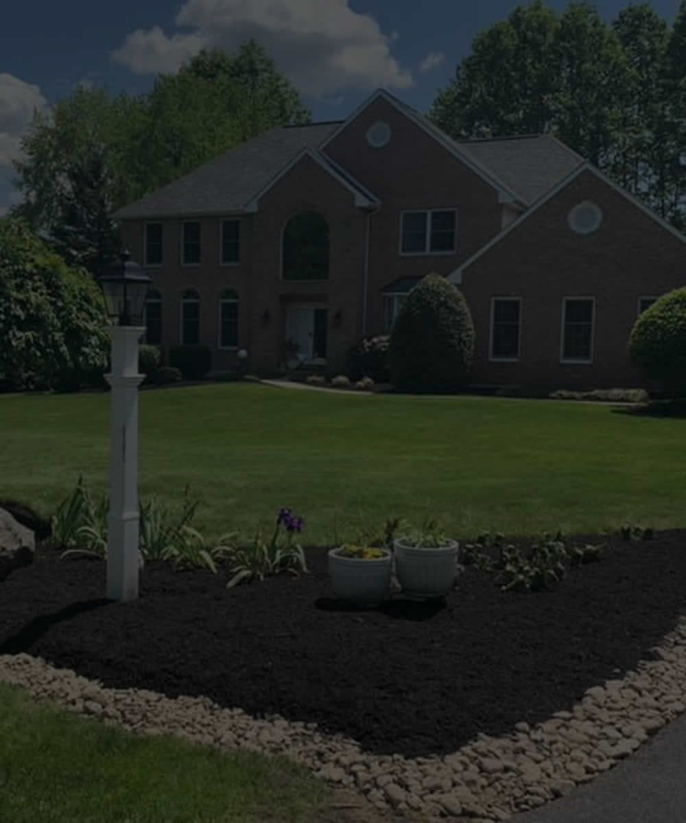 Glenmoore Lawn Fertilization Services Services near me