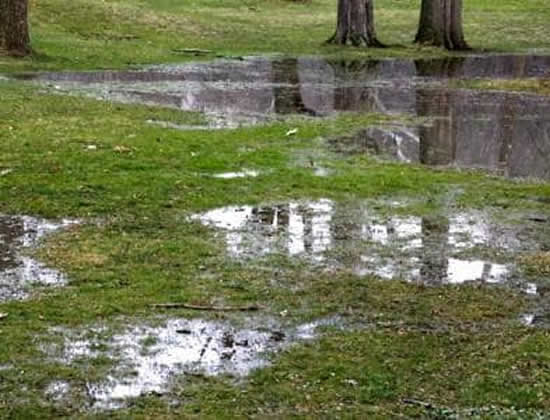 Professional Storm Water Management Solutions Chester Springs, Glenmoore, Exton, Downingtown. Offering Lawn Care & Landscape Services for Chester Springs, Eagleview and Exton Pennsylvania