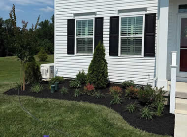 landscape planting design